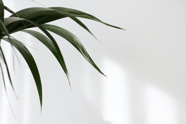 Minimalismus für Anfänger - 7 Tipps für den Einstieg