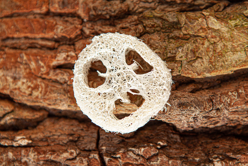 Luffa-Scheibe plastikfreie Seifenablage